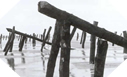 Images : Les "Asperges de Rommel", poutres de bois devant éventrer les engins de débarquement