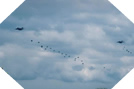 Parachutage en Normandie - Commémorations du Débarquement - 5 juin 2004 16