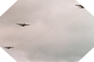 Parachutage en Normandie - Commémorations du Débarquement - 5 juin 2004 8