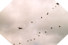 Parachutage en Normandie - Commémorations du Débarquement - 5 juin 2004 15