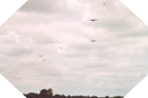 Parachutage en Normandie - Commémorations du Débarquement - 5 juin 2004 7