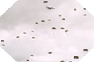 Parachutage en Normandie - Commémorations du Débarquement - 5 juin 2004 18