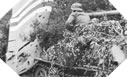Image : Un blindé de la 21ème <em>Panzerdivision</em> devant les débris d'un planeur Britannique Horsa