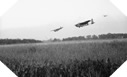 Image : Opération Mallard - Parachutages britanniques en Normandie