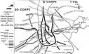 Image : Cartes et plans de la bataille de Normandie