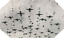 Image : Dans les premières heures du 6 juin 1944, les parachutages se poursuivent