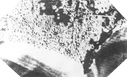 Image : Photo de la Pointe du Hoc bombardée, prise à partir d'un avion de reconnaissance Allié
