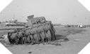 Image : Photos de Sword Beach après le 6 juin 1944