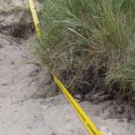 2016 news of the Normandy landing beaches 27