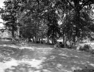 Ces soldats américains ont installé leur bivouac le long d’une route à l’abri de grands arbres. Ils y ont installé un salon de coiffure improvisé, dans le secteur de Négreville. Photo : US National Archives