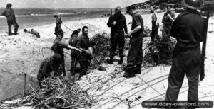 Sur la plage de Deauville après les combats, des prisonniers allemands sous bonne garde déblaient les obstacles de plage et les réseaux de barbelés. Photo : US National Archives