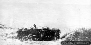 Un canon de 5 cm Kw.K L-60 antichar en encuvement au sein du point d’appui codé Wn 306, situé à la pointe du Nez. Photo : DR