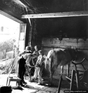 M. Le Jolivet, maréchal-ferrant à Creully, ferre un cheval sous le regard de deux soldats canadiens. Photo : US National Archives