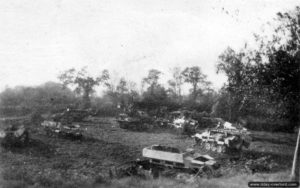 Des épaves de véhicules chenillés allemands rassemblées dans un champ du secteur de Roncey. Photo : US National Archives