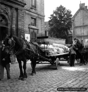 11 juillet 1944 : au pied de l’église Saint-Etienne, un attelage transportant de la nourriture au profit des réfugiés civils. Photo : US National Archives