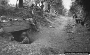 Dans le secteur de Saint-Georges-d’Elle, des fantassins américains ont creusé d’imposants trous de combat le long d’une haie. Photo : US National Archives