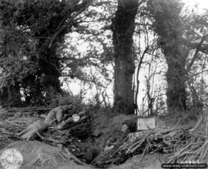 15 juillet 1944 : bivouac du 175ème régiment de la 29ème division d’infanterie au nord de Saint-Lô. Photo : US National Archives