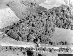 30 septembre 1944 : les Alliés ont installé dans cette forêt du secteur de La-Haye-du-Puits une station de distribution pour l’oléoduc "Major System" (opération PLUTO). Photo : US National Archives