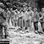 Des prisonniers allemands sont inspectés par des paras du 502nd PIR près de Saint-Martin-de-Varreville. Photo : US National Archives