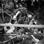 L'épave du "Fighting Falcon" transportant le général Pratt. Le corps est celui du sous-lieutenant Butler. Photo : US National Archives