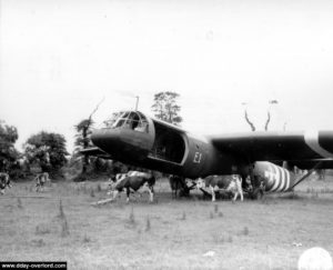 Un planeur Horsa s'est posé sans encombres sur sa Landing Zone. Photo : US National Archives