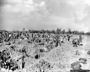 Rassemblement des corps de soldats au cimetière N°2 le 10 juin à Omaha Beach. Photo : US National Archives