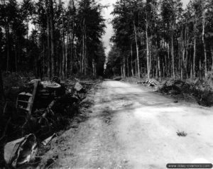 Des épaves de véhicules allemands dans le bas-côté d’un bois situé dans le secteur du Molay-Littry. Photo : US National Archives