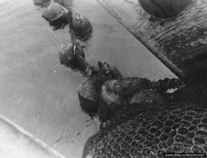 Relève d’un filet métallique anti-sous-marins allemand à bord de l’USS Pinon à Cherbourg. Photo : US National Archives