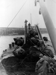 Relève d’un filet métallique anti-sous-marins allemand à bord de l’USS Pinon à Cherbourg. Photo : US National Archives