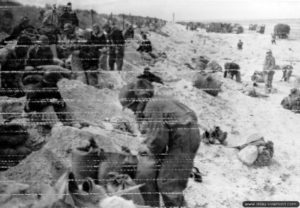 Confection de sacs de sable pour améliorer la protection des abris à Utah Beach. Photo : US National Archives