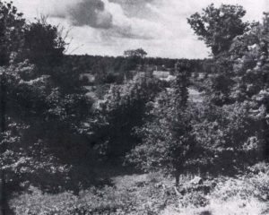 Juin 1945 : vue de la position tenue par le sergent Petty au sud de la route Grandcamp-Vierville. Photo : US National Archives