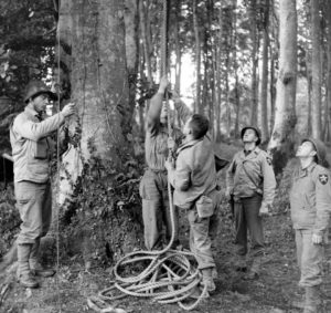 A Cerisy-la-Forêt, des artilleurs de la 2nd (US) Infantry Division utilisent un système de renvoi de cordes pour se hisser à un poste d'observation de fortune installé au sommet d'un arbre. Photo : US National Archives