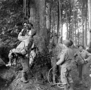 A Cerisy-la-Forêt, des artilleurs de la 2nd (US) Infantry Division aident le Brigadier General George P. Hays, commandant la 2nd Division Artillery, à rejoindre un poste d'observation de fortune installé au sommet d'un arbre. Photo : US National Archives