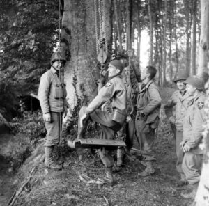 A Cerisy-la-Forêt, des artilleurs de la 2nd (US) Infantry Division aident le Brigadier General George P. Hays, commandant la 2nd Division Artillery, à rejoindre un poste d'observation de fortune installé au sommet d'un arbre. Photo : US National Archives