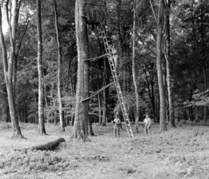 A Cerisy-la-Forêt, des artilleurs de la 2nd (US) Infantry Division aux abords d'un poste d'observation de fortune installé au sommet d'un arbre. Photo : US National Archives