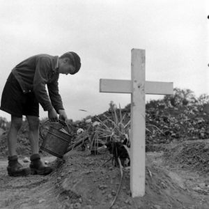 Juillet 1944 : un garçon arrose les fleurs sur la tombe du Brigadier General Theodore Roosevelt Jr., enterré le 14 juillet 1944 au cimetière temporaire n°2 de Sainte-Mère-Eglise. Photo : US National Archives