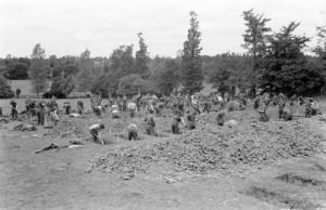 12 juillet 1944 : des prisonniers allemands creusent des tombes pour leurs camarades tués durant les combats, sous le contrôle de soldats américains au cimetière militaire d'Orglandes. Photo : US National Archives