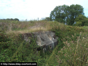 Une casemate modèle R621 à la batterie de Maisy, codée Stp 83 par les Allemands et installée au lieu-dit Les Perruques. Enterrée après la fin de la guerre, elle a depuis été dégagée. Photo (2005) : D-Day Overlord