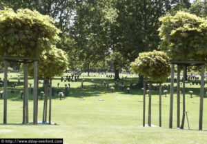 Cimetière militaire allemand de La Cambe. Photo (2017) : D-Day Overlord