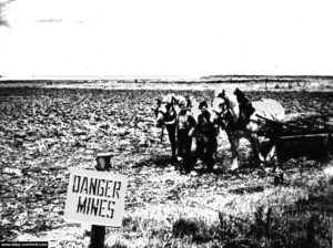 Au-dessus des falaises entre Grandcamp et la Pointe du Hoc, les agriculteurs poursuivent leurs activités malgré la présence militaire et les mines.