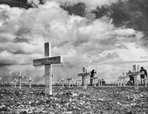 Les croix du cimetière militaire américain à Omaha Beach. Photo : US National Archives