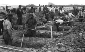 Des prisonniers allemands creusent les tombes des soldats américains tués à Omaha Beach. Photo : US National Archives