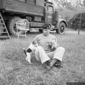 Le général Montgomery avec ses chiens « Hitler » (à gauche) et « Rommel » ainsi que ses canaris. Photo : IWM