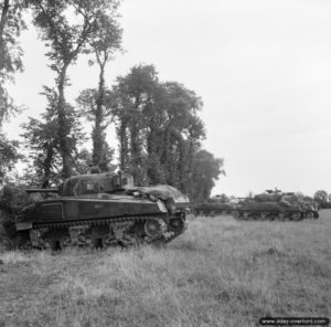 30 juin 1944 : des chars Sherman de la 11th Armoured Division à proximité d’Eterville. Photo : IWM