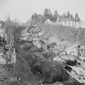 Une colonne de chevaux tués et d’équipements ayant appartenu aux Allemands dans le couloir de la mort près de Falaise. Photo : IWM