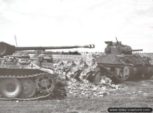 Des chars Sherman à proximité du char Panther A « 204 », immobilisé dans le secteur de Rauray le long de D 173. Photo : IWM