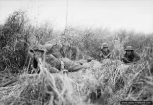9 juillet 1944 : des sapeurs des Royal Engineers progressent lentement près de Saint-Contest. Photo : IWM