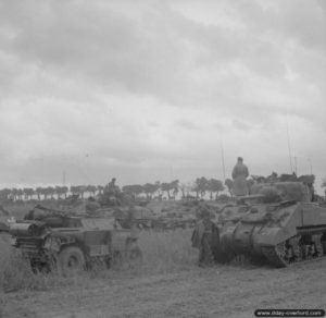 26 juin 1944 : des chars Sherman en version commandement et un scout-car de la 29th Armoured Brigade, 11th Armoured Division pendant l’opération Epsom dans le secteur de Saint-Manvieu-Norrey. Photo : IWM