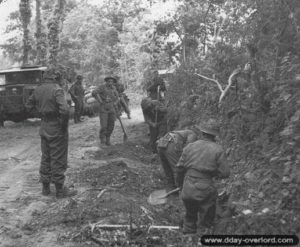 Juin 1944 : des soldats du 6th Durham Light Infantry creusent des trous au bord de la route dans le secteur de Verrières. Photo : IWM