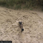 Encuvement presque totalement ensablé contenant un canon antichar français de 47 mm Modèle 1937, à hauteur du point d'appui allemand codé W5 d'Utah Beach. Photo : D-Day Overlord